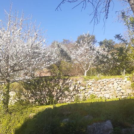 Quinta Dos Carvalhos The Wine House Farm In Center Of Lamego - Capital Of The Douro Villa Exterior foto