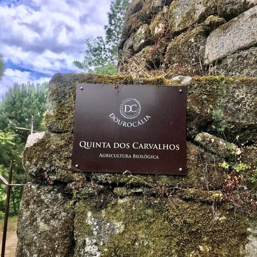 Quinta Dos Carvalhos The Wine House Farm In Center Of Lamego - Capital Of The Douro Villa Exterior foto