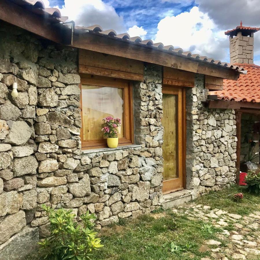 Quinta Dos Carvalhos The Wine House Farm In Center Of Lamego - Capital Of The Douro Villa Exterior foto
