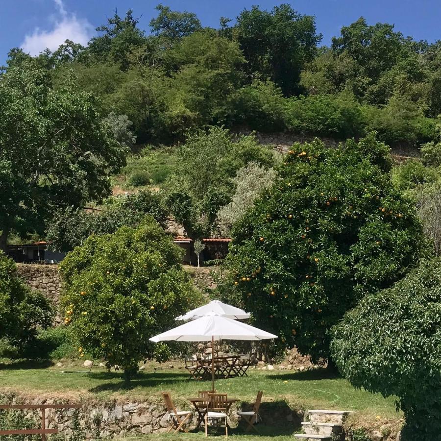 Quinta Dos Carvalhos The Wine House Farm In Center Of Lamego - Capital Of The Douro Villa Exterior foto