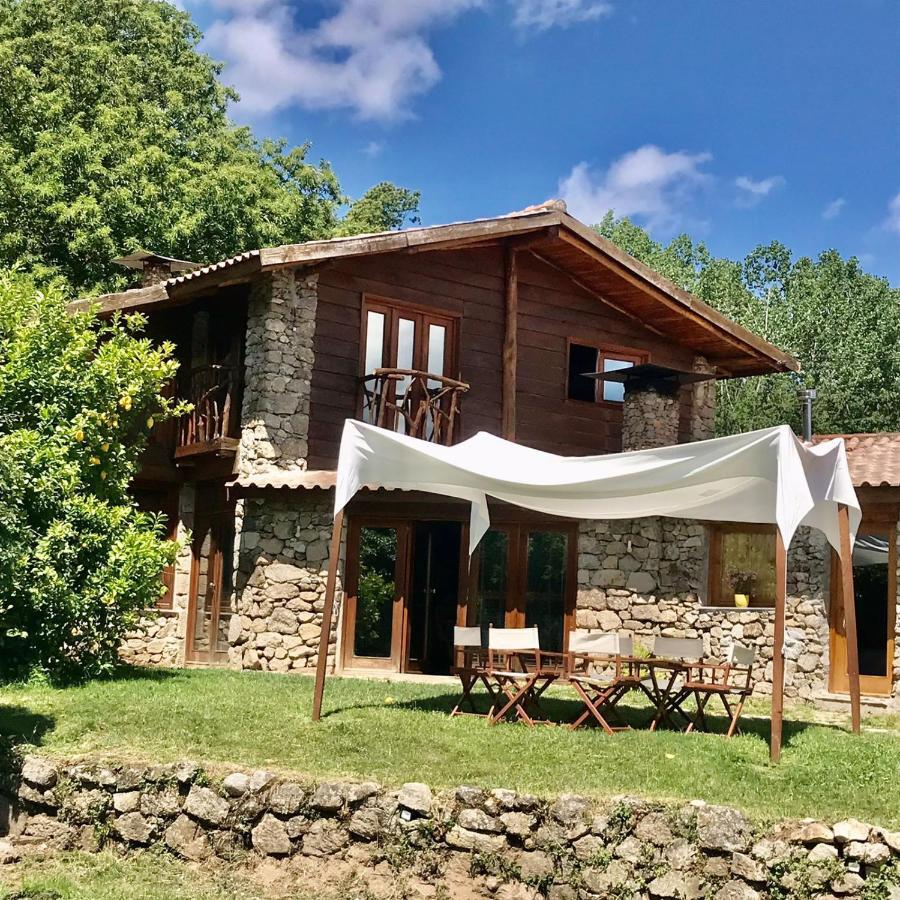 Quinta Dos Carvalhos The Wine House Farm In Center Of Lamego - Capital Of The Douro Villa Exterior foto