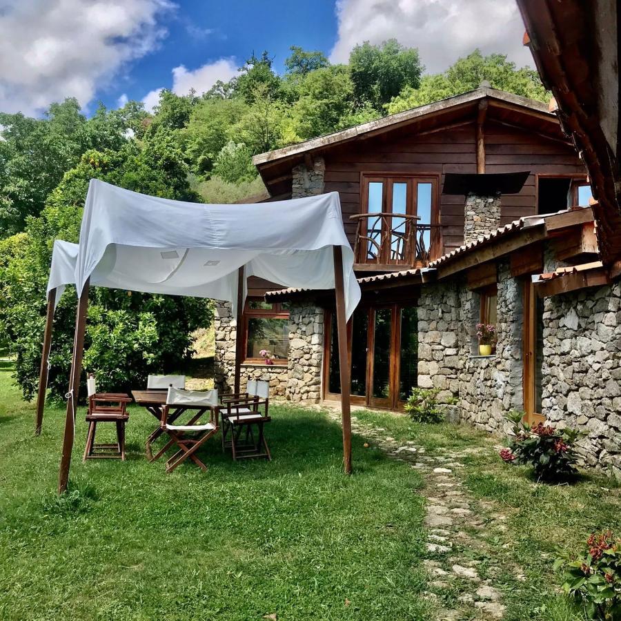 Quinta Dos Carvalhos The Wine House Farm In Center Of Lamego - Capital Of The Douro Villa Exterior foto