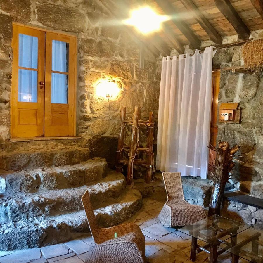 Quinta Dos Carvalhos The Wine House Farm In Center Of Lamego - Capital Of The Douro Villa Exterior foto