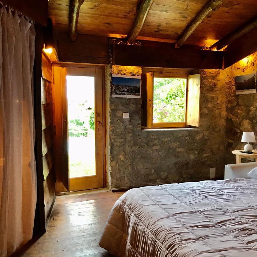 Quinta Dos Carvalhos The Wine House Farm In Center Of Lamego - Capital Of The Douro Villa Exterior foto