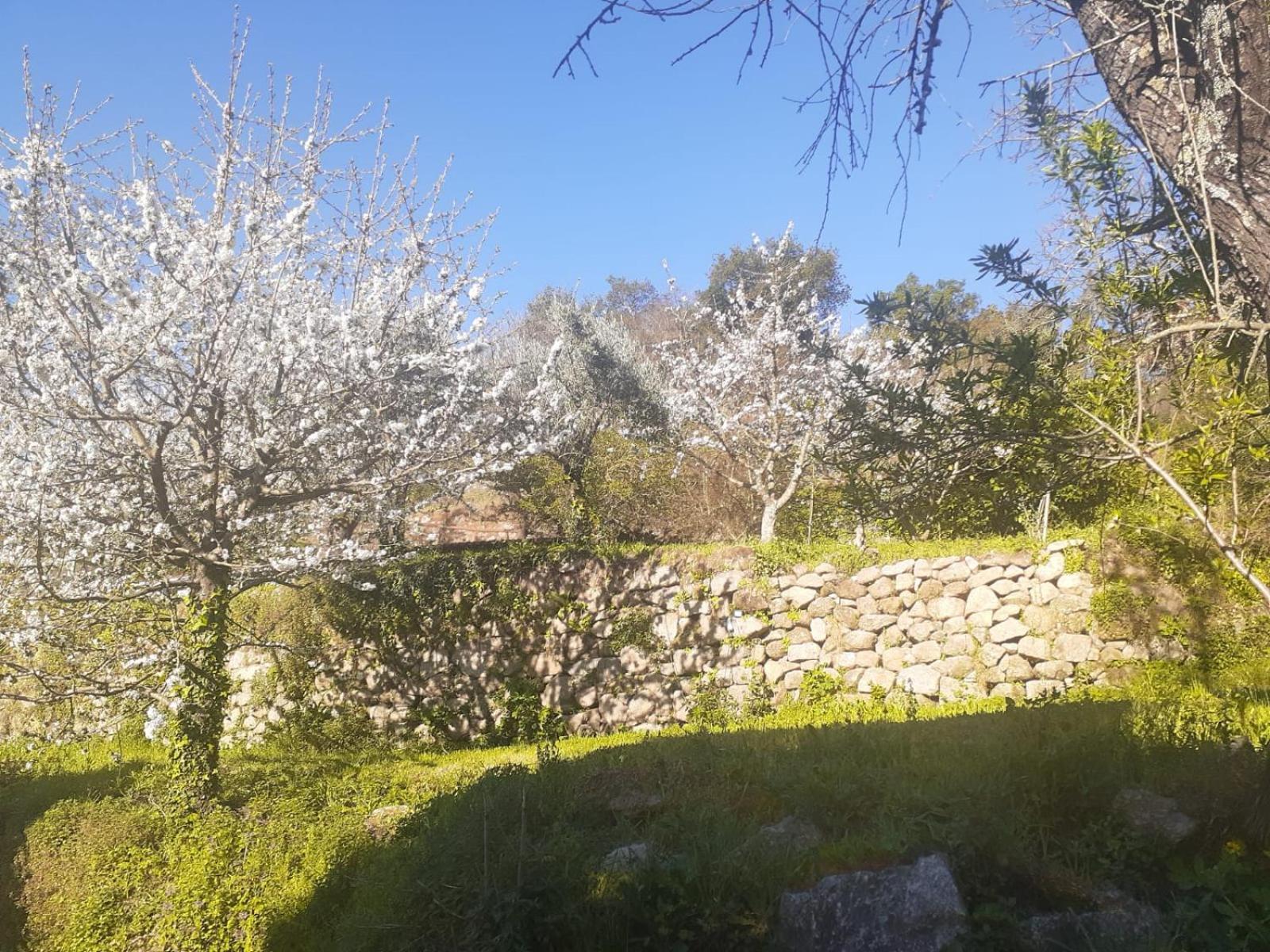 Quinta Dos Carvalhos The Wine House Farm In Center Of Lamego - Capital Of The Douro Villa Exterior foto